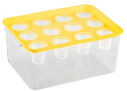 perfk Scatola per Coltivazione, Mini Acquario da Tavolo per Interni, 12 Fori, Micro Serbatoio da Giardino per piantare Verdure domestiche al, Giallo