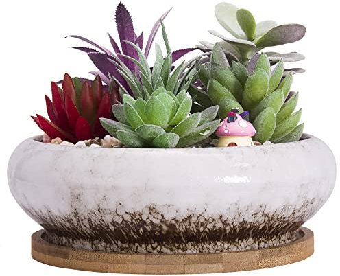 ARTKETTY Vaso per Piante Grasse, Vaso Bonsai Grande con Vassoio di Drenaggio in Ceramica per Piante Cactus da Interno Vaso Fioriera Rotondo