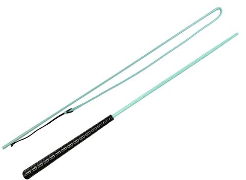 JA Horse Touchiergerte Bogenpeitsche Fahrpeitsche Pferd Fahren Bogen Peitsche Fahrsport Bodenarbeitsgerte Gummi Griff (Mint, 120 cm)