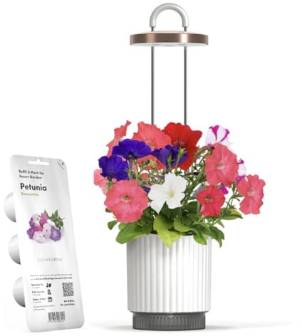 Vaso Smart Autoirrigante con Luce per la Crescita, Kit Mini Serra da Interno con Capsule di Petunia Click&Grow, Hydrovase Smart Garden
