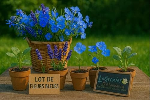 Lot de 340 graines à semer - Le Grenier d'Abondance - Fleurs bleues - 6 sachets individuels