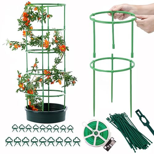 Bogoro Supporti per Piante Rampicanti set di 4 Pezzi con Clip per Piante 18 Pezzi, 20 Metri Rotoli Cavi 1 Pezzo, Fasce per cavi 12 pezzi, Gabbie Pomodori e Supporti per Piante Per Cetrioli Floreali