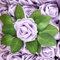SECALIFE 25 Pieces Rose Artificial Flowers, Fake Roses Pale Purple Foam Rose with Stem for DIY Wedding Bouquets Floral Arrangements Party Valentine's Day Home Decor, Pale Purple
