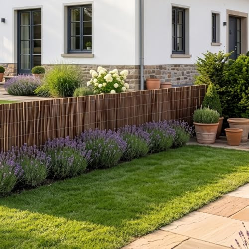 casa.pro Brise-Vue en Osier Hyssna 100 x 300 cm Naturel | extérieur, jardin, balcon, terrasse, habillage clôture, garde-corps palissade, fixation rapide, protection vent et soleil