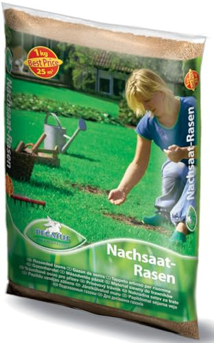 Pegasus Nachsaat-Rasensamen, 1 Kg, 25qm, 622258 - Turbo Nachsaat Rasen, Rasenteppich, Rasen Reparatur Mischung, schnellkeimend, dichter Wuchs