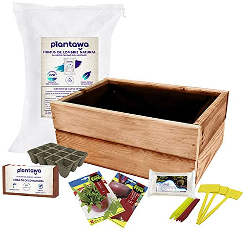 PLANTAWA Kit de Cultivo Huertano, Kit de Semillas para Huerto Urbano Interior, Siembra en Casa Jardín o Terraza, Huerta con Jardinera Remolacha y Rúcula