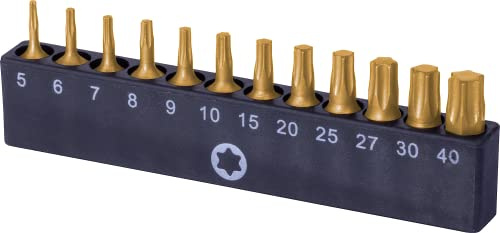 12-teiliges, mit NordWolf 19001 Titannitrid (TiN) beschichtetes Bitset mit S2 Torx T-Star 6-Punkt-Einsteckschraubendreher T5-T6-T7-T8-T9-T10-T15-T20-T25-T27-T30-T40