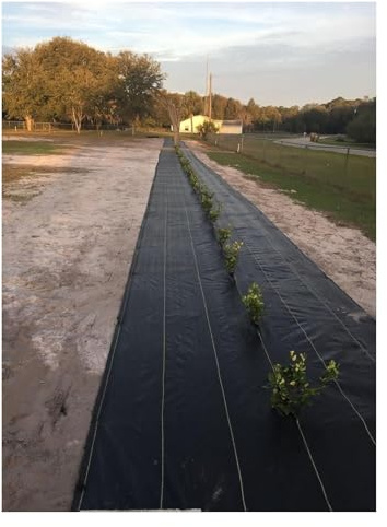 Kraftig ogräsbarriär landskapstyg – 60 cm brett markskydd för trädgårdsgrönsaker och blomsterbäddar – utomhus ogräsbekämpning 10 m – 300 m längdalternativ (0,6 m x 15 m/2 fot x 50 fot)