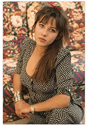 YSFDCY Quadro A Olio su Tela Senza Cornice 50 * 70cm Attore Sophie Marceau 4 Tela decorativa Wall Art Soggiorno Poster Camera da letto