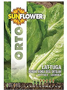 SEMENTI LATTUGA ROMANA BIONDA SUNFLOWER (Cf 20)
