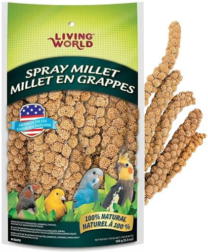 Living World - Millet Spray for Birds, 3.5 Oz – Premium Treat for Budgies, Canaries, Finches, Cockatiels and Other Pet Birds