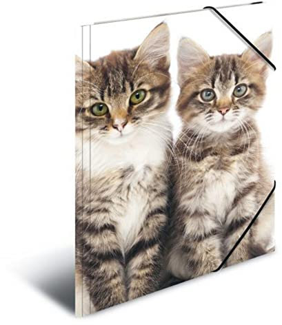 HERMA Sammelmappe A4 Katzen, Kinder Eckspanner-Mappe aus Kunststoff mit Tier Motiv, Gummizug, Innenklappen und Innendruck für Jungen und Mädchen