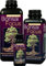 Bonsai Focus 100ml - Liquid Bonsai Feed