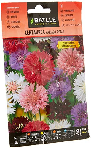 Semillas Batlle Centaurea VARIADA Doble