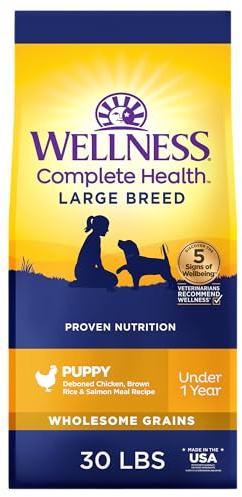 Wellness Complete Health Puppy Dry Dog Food, Large Breed, Wholesome Grains, Natural, Chicken, Oatmeal, & Salmon Recipe, (30-Pound Bag)