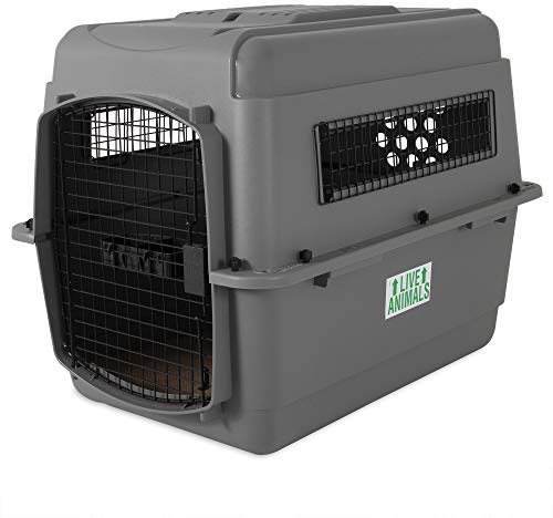 Beeztees Skykennel 3 IATA Caisse de Transport pour Chien de 13,5-22,5 kg Gris