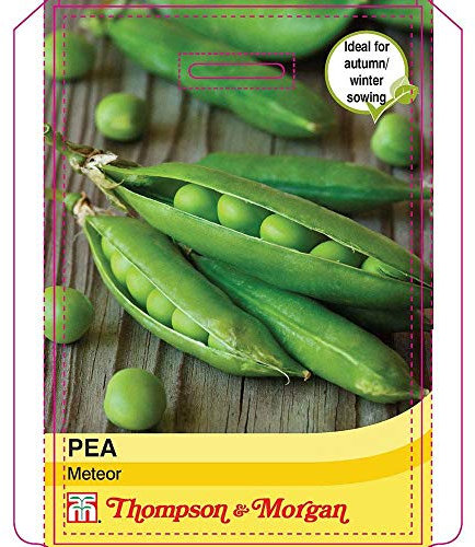 Thompson & Morgan - Vegetables - Pea Meteor - 250 Seed