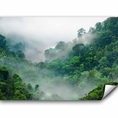 murando - Vlies Fototapete Dschungel 450x315cm- Foto Tapete Schlafzimmer Wohnzimmer Vliestapete XXL Wandtapete Motivtapeten Bildtapete 3d Effekt Wand Dekoration - Natur Wald Nebel Urwald c-B-0346-a-a
