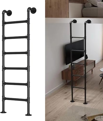 ZENSTYW Väggmonterad metall takstege, säkerhetsersättning för klättring inomhus och utomhus, nödutgångsstege för fönsterfack, 150 kg lastkraft (svart) 2,5 m/8,2 fot)