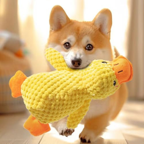 Hundespielzeug aus Plüsch für kleine Hunde, quietschendes Hundespielzeug, weiches Welpenspielzeug für kleine und mittelgroße Hunde, 25 cm