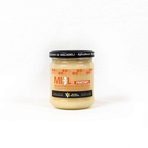 Miel de Printemps - Monts du Lyonnais - Rhône Alpes - Le Rucher de Macameli - pot 250g