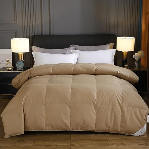 lsxlkha Piumone Matrimoniale Invernale Premium,Piumino in Piuma/Piumetta D'Oca Matrimoniale Imbottitura Piumette e Piume Trapunta Letto Matrimoniale Tutte Le Stagioni 180×220cm 2.5kg