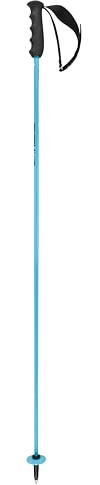 HEAD Worldcup Rebels Carbon, Bastoni da Sci Unisex Adulto, Speed Blue/Nero/Bianco, 125