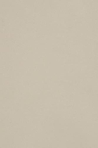 Netuno 10 x tonkartong DIN A3 297 x 420 mm ljusgrå 250 g Burano Grigio pysselkartong enfärgad fotokartong A3 färgglada helfärgade finpapper gör-det-själv ark kreativ kartong färgad färgglad tonpapper