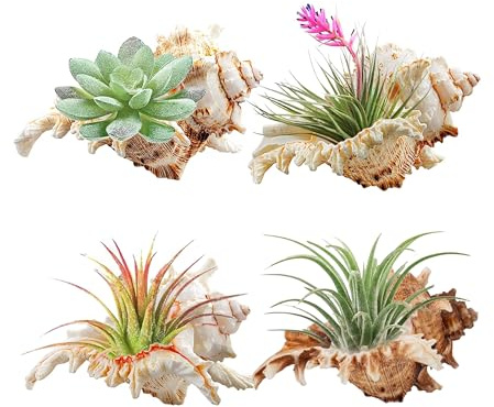 YZHZOM 4 Pack 4-5 inches Conch Shells for Decorating air Plant Holders Unique Succulent Pot Betta Fish Tank Decoration Aquarium décor Fish House for Aquarium Beach Theme Party (No Plants)