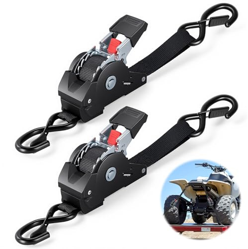 VAYALT 2 Pezzi Cinghie a Cricchetto Automatiche, Cinghia di Serraggio Automatica con Ganci a S di Sicurezza 25mm x 3m, Cinghie di Fissaggio, Resistenza Rompere 750kg, per Camion, Rimorchio, Kayak