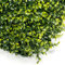 STI Siepe Sintetica Sempreverde Bosso Bicolore Invernale 50x100cm