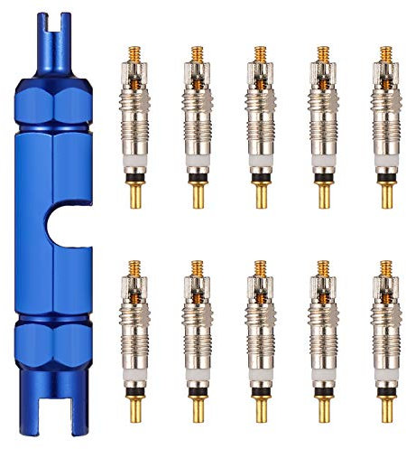 QINREN 11 Stück Fahrradventil Adapter Französisches Ventil Sclaverandventil Ersatz Presta Ventileinsatz Ventilkappen Fahrrad Ventil Adapter mit Ventileinsatzentfernungswerkzeug zur Fahrradreparatur