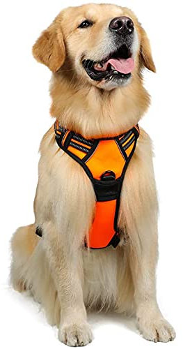 rabbitgoo Hundegeschirr Mittelgroße Hunde, Anti Zug Geschirr mit Kontrolle, No Pull Verstellbar Hundegeschirr Grosse Hunde, Atmungsaktiv Reflexstreifen Brustgeschirr Sichere Führung Orange L