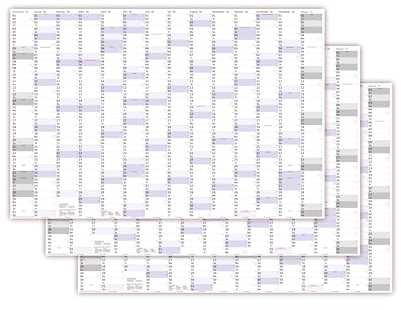 3 Stück XXXL Wandkalender Special A0 2026 nass abwischbar (Format 120 x 80cm) Jahresplaner Wandplaner gerollt mit extra großen Tageskästchen