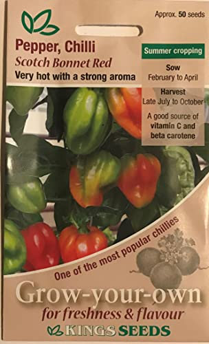 Scotch Bonnet Chilli Pepper Seeds x 50 Kings Seeds Very Hot