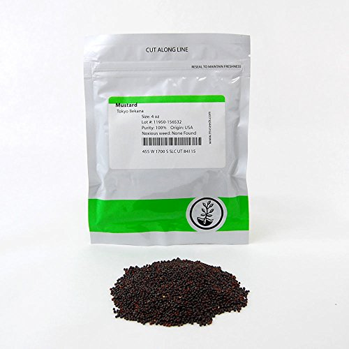 Tokyo Bekana Mustard Seeds: 4 Oz - Non-GMO Seeds for Vegetable & Herb Gardening, Growing Microgreens