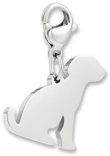 Charms-hänge med karbinlås | Halsbandshänge i 316L rostfritt stål | Berlock för berlockarmband i silver | Vattentålig & hypoallergen