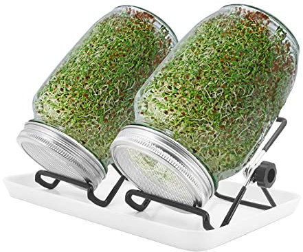MoYouno Sprouting Jar Kit, 2Pcs Seed Sprouter Kit, Indoor Seed Sprouter,Sprout Growing Kit-with Tray,Stand, Sprout Lids,Wide Mouth Quart Mason Jars for Making Seeds Sprouts (2)
