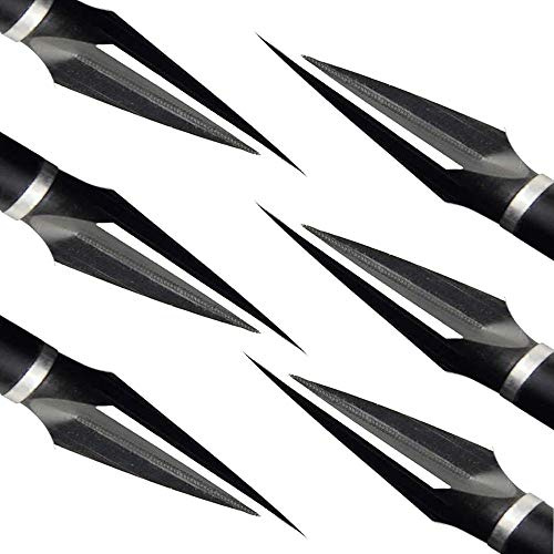 Archery Broadheads 120 Grain Traditional Hunting Arrow Head for Compound Bow,Pack of 6 (120GR)