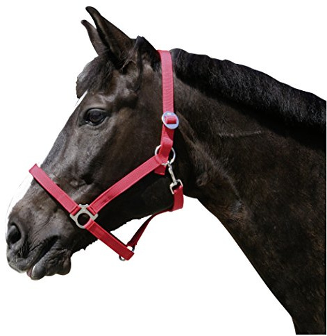 Kerbl 32112 Classic - Cabestro de Nailon (2 Unidades), Color Rojo