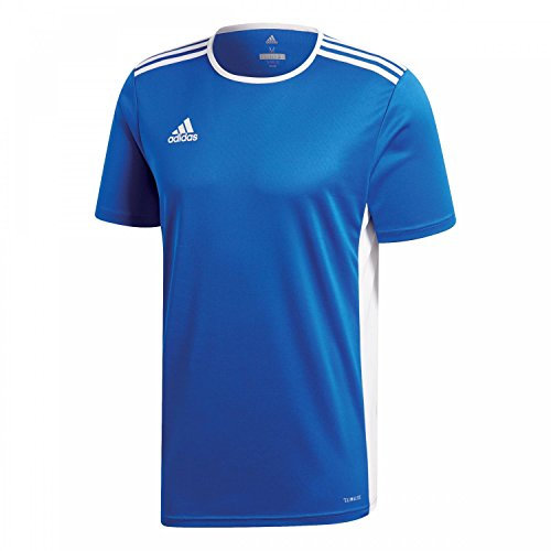 adidas Herren Entrada 18 Trikot, Bold Blue/White, 2XL