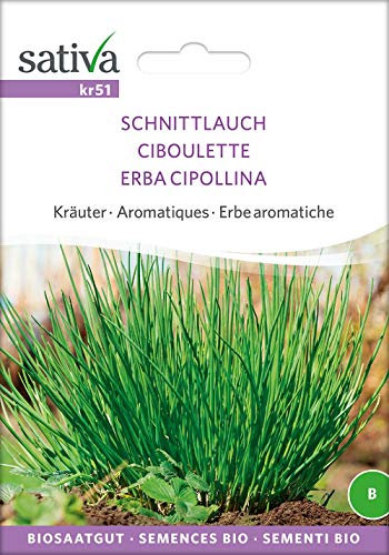 Sativa Rheinau kr51 Schnittlauch (Bio-Schnittlauchsamen)