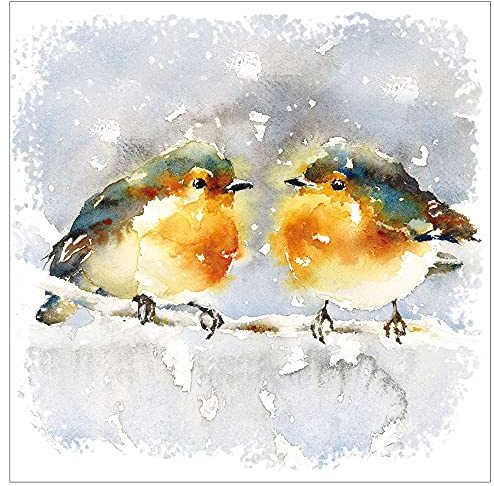 Christmas Cards, Pack of 10, Robins on branch, by Just Cards Direct | 10 quality cards with white envelopes; 14x14cm; greeting inside; traditional Christmas card multipack; printed in the UK