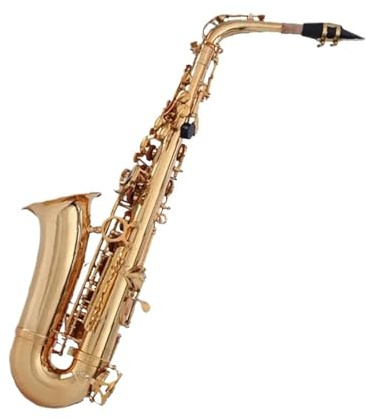 Professionell Saxofon Professionell Altsaxofon I Ess För Vuxna Och Nybörjare