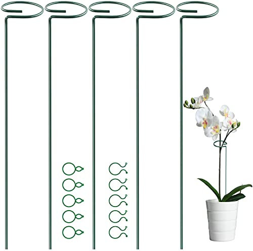OMATSBEH Lot de 5 piquets de support pour plantes de 60 cm, anneaux de cage d'amaryllis avec 10 clips pour tomates, orchidées, lys, pivoines, roses (60 cm)