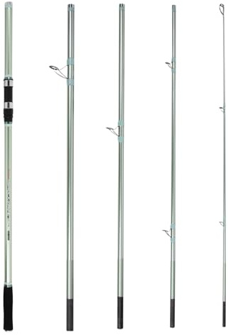 SeaQuest ISHOCKWAVE Canna da pesca Surfcasting Canna da Carpa ISHOCKWAVE 5105-CJB