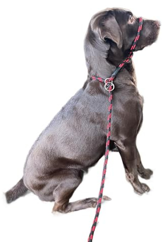 L&J Pets UK All-In-One Figure 8 Anti-Pull Dog Lead & Head Collar – No-Pull Training Halter (Red/Black)