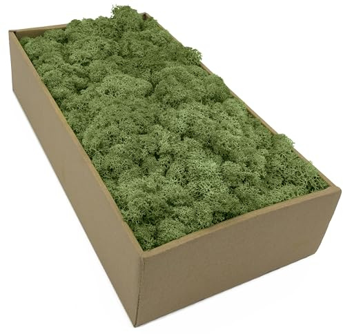 Islandmossa – mossa i 5 olika Färger 250 g/m/500 gr/1 kg äkta konserverad naturmossa för mossbild pyssla dekoration och modellbygge (gräsgrön, 100 gr)