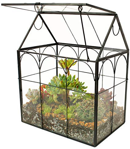 ElegantLife Geometrisches Terrarium aus Glas für Sukkulenten und Luftpflanzen (Keine Pflanze im Lieferumfang enthalten)