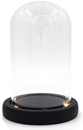 Nynell Glas Glocke Glaskuppel Deko, Klare Dekorative Glocke aus Glas mit Schwarzem Holzsockel,Deko Glas Kuppel Transparent Glasglocke, 3.5 D x 5.9 H